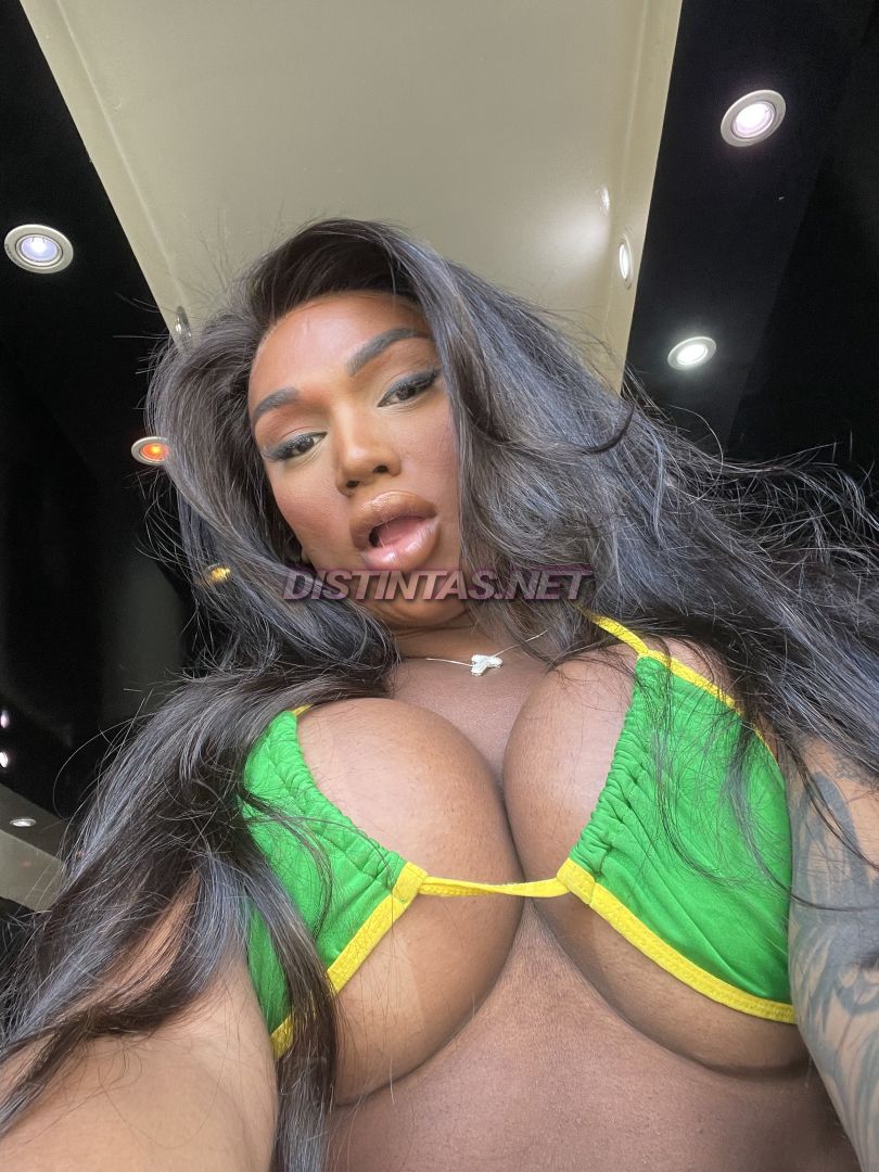 Ts anaconda xxl