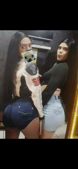 Allanes Trans