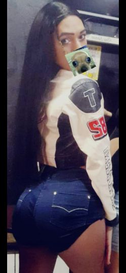 Allanes Trans