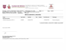 Danna castillo