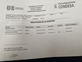 Danna castillo