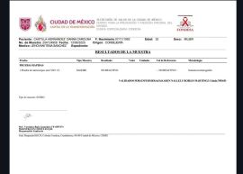 Danna castillo