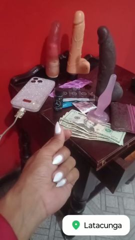 Trans Roxy 