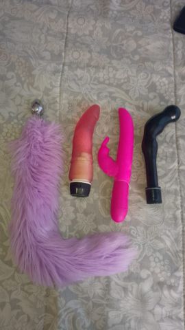 Trans Roxy 