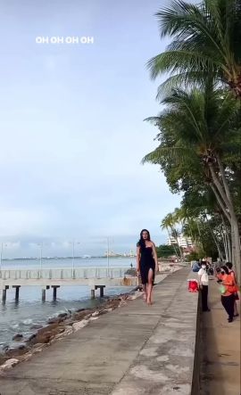 TRANS ASIAN LOLITA