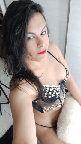 Marina Trans