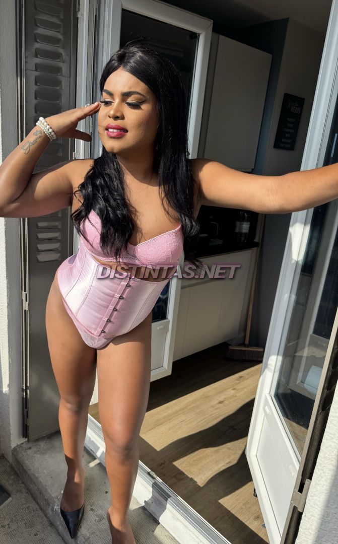 Dominique Colombiana 