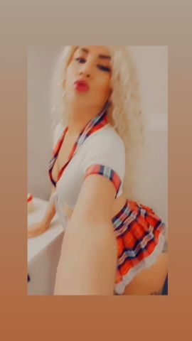 Ghia ferrer 