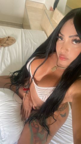 alondra bella
