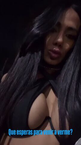 Bunny