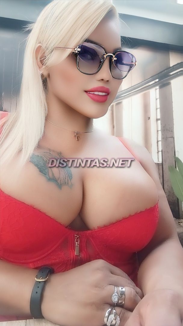Kim cielo