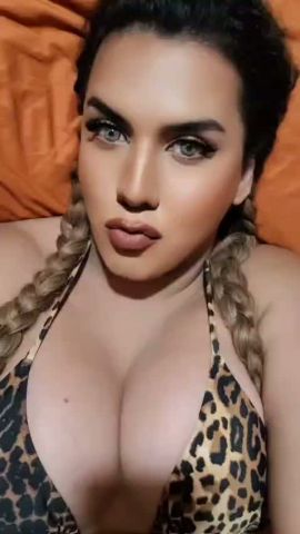 Kelly Nine