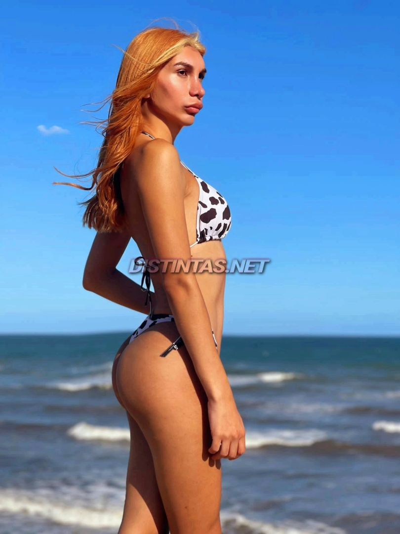Luz C