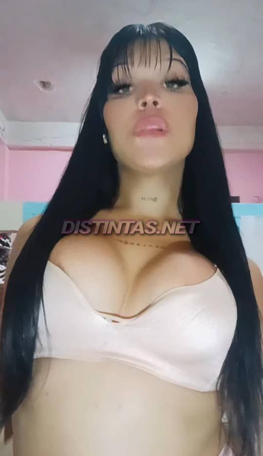Sr Petrova 