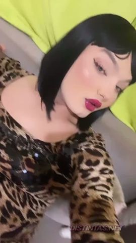Patrizia picante Rosa 