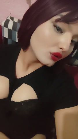 Patrizia picante Rosa 