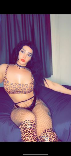Arab trans 