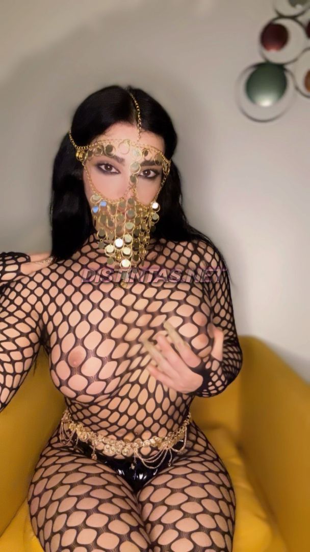 Arab trans 