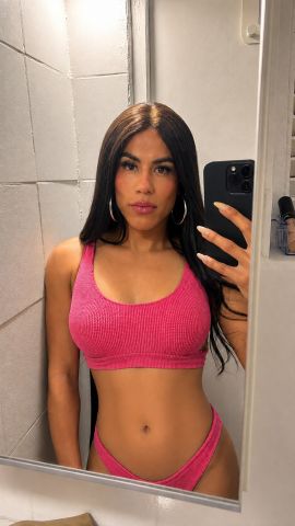 Anthonella xl