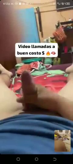 Steffy 