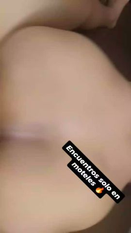 Steffy 