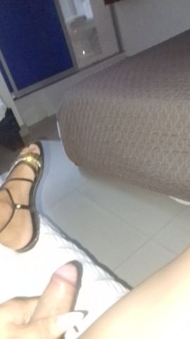 Steffy 
