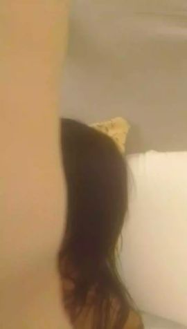 Steffy 