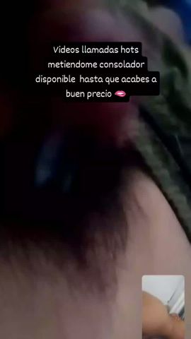 Steffy 
