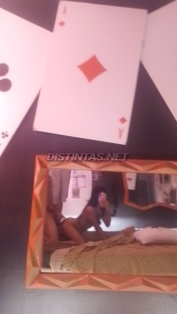 Steffy 