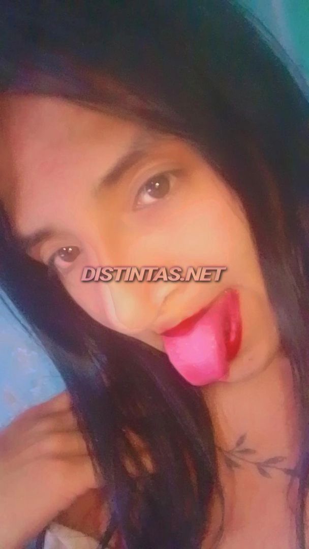 Steffy 