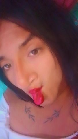 Steffy 