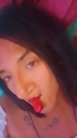 Steffy 