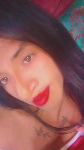 Steffy 
