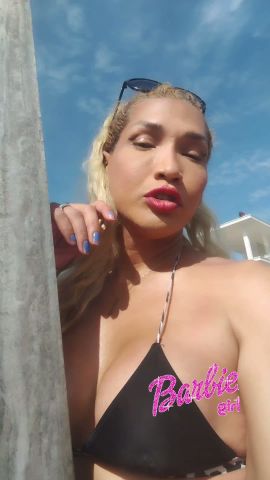 Barbie Dougherty