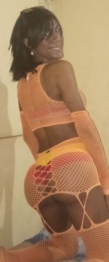 VERÓNICA BRAVO 