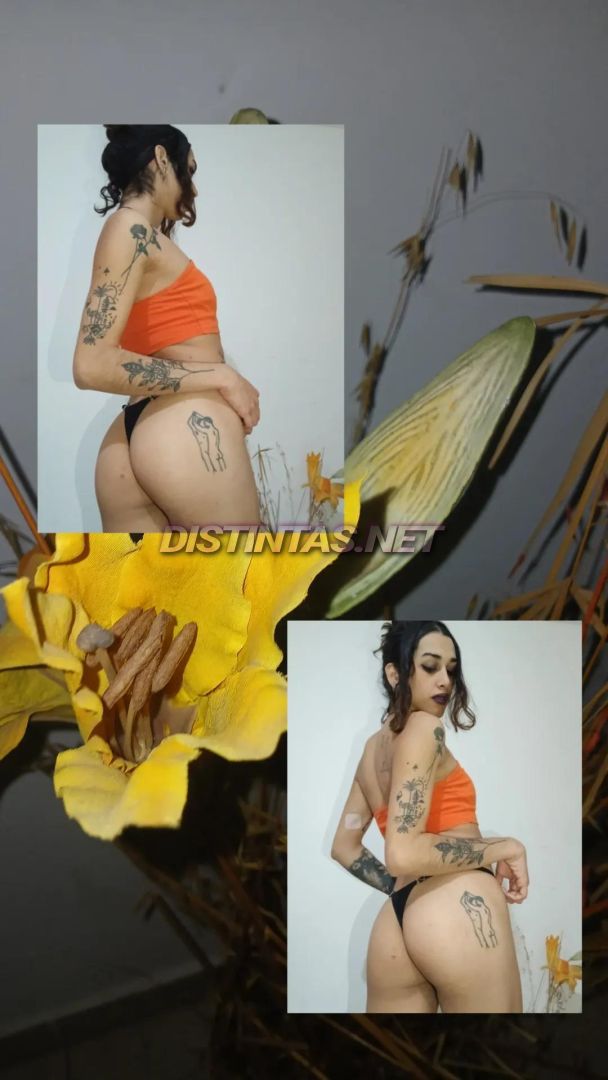 Vicki luz