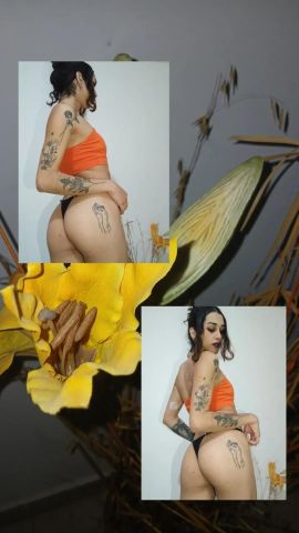 Vicki luz