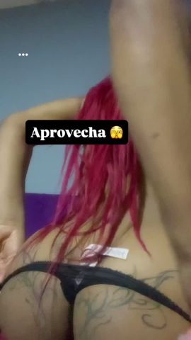Brazt Melani