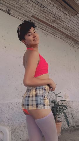 Sainet