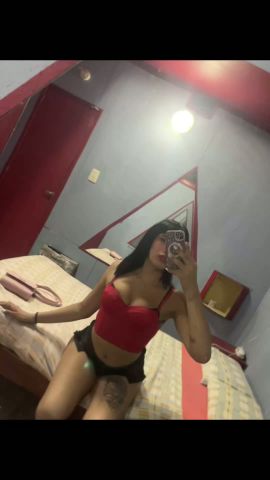 Cata Lp
