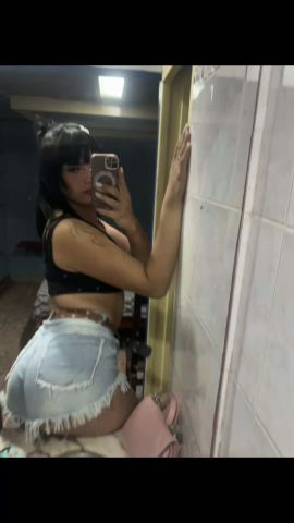 Cata Lp