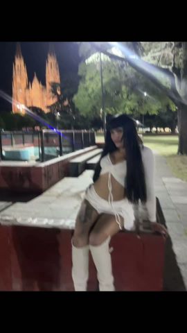 Cata Lp