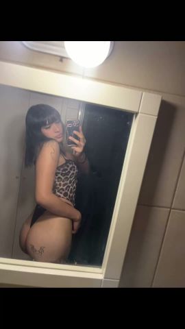 Cata Lp
