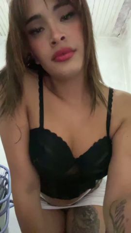 Cata Lp