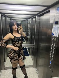 Cata Lp