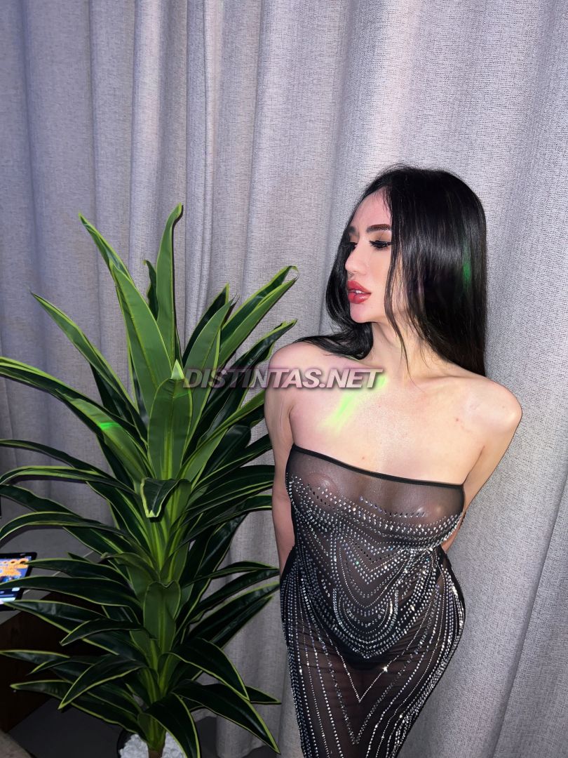 Ara Shemale