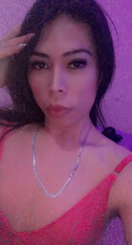 Tu gatita harely 