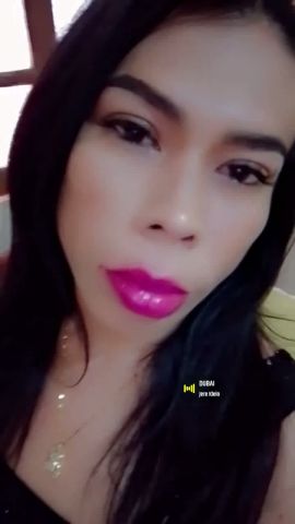 Tu gatita harely 