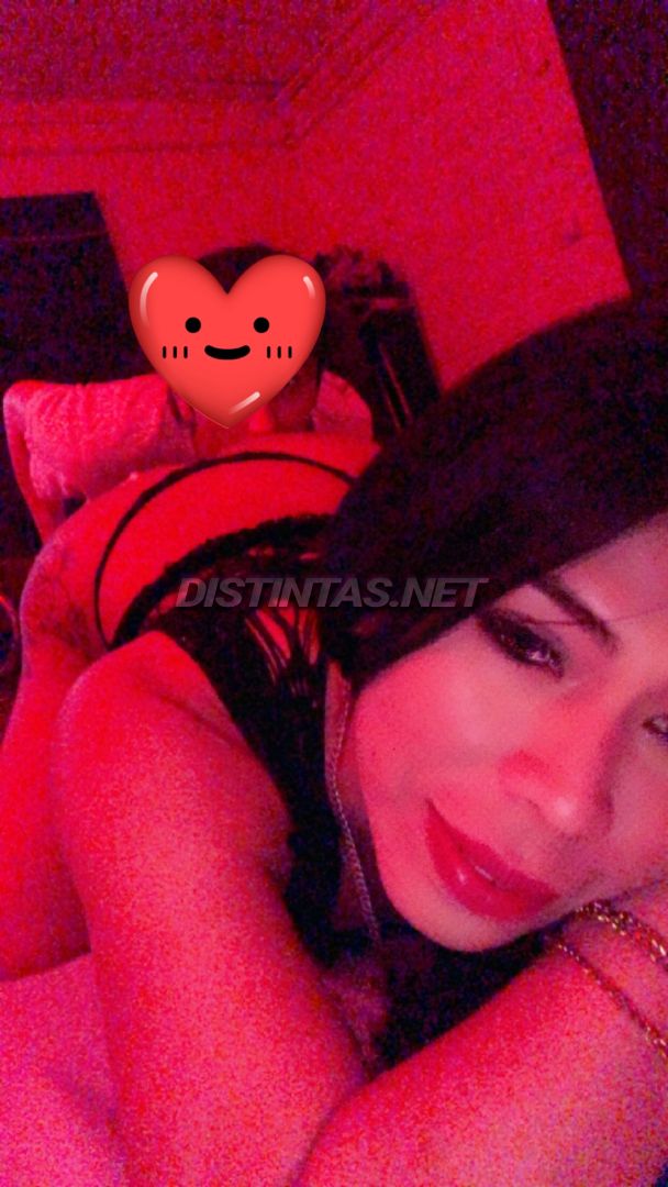 Tu gatita harely 