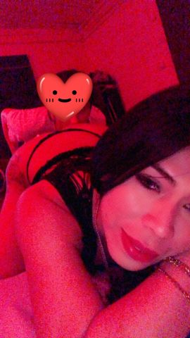 Tu gatita harely 